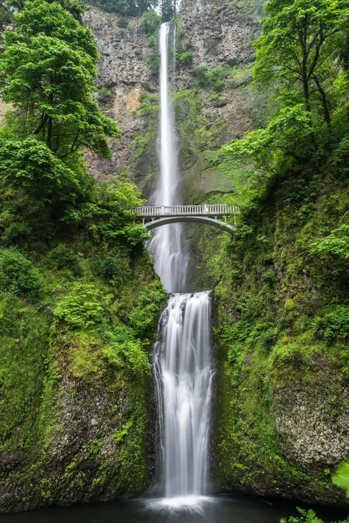 Waterfall through lush forest